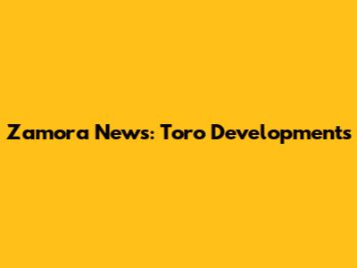 Zamora News: Toro Developments