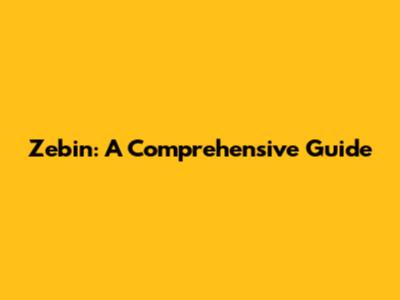 Zebin: A Comprehensive Guide