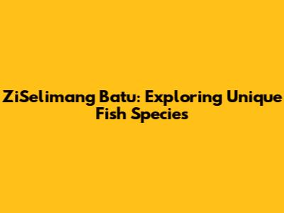 ZiSelimang Batu: Exploring Unique Fish Species