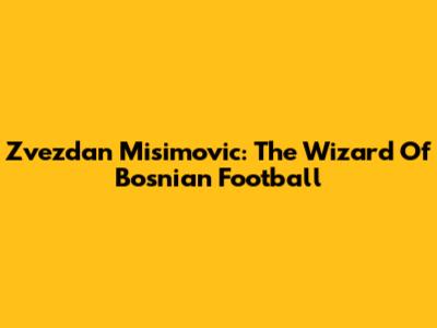 Zvezdan Misimovic: The Wizard Of Bosnian Football